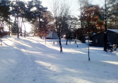 Winter 5